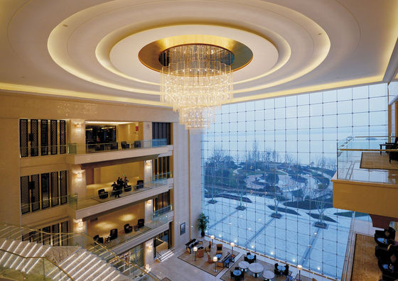 OEM ODM Creative Art Hanger Light voor High End Places