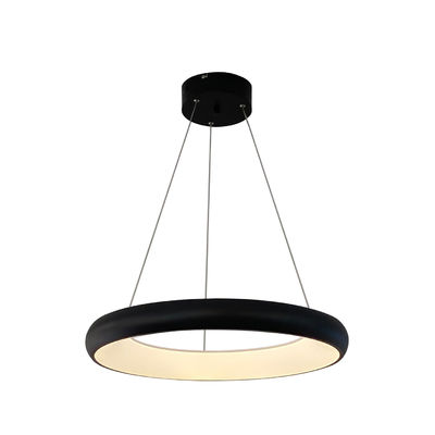 Moderne ronde acrylwit zwart led verlichting voor hoteltechniek heldere hangende plafondlichten